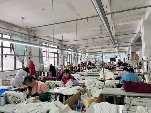 莊浪制衣廠 縫紉機聲奏響“開門紅” 數(shù)字工程織就發(fā)展新藍圖